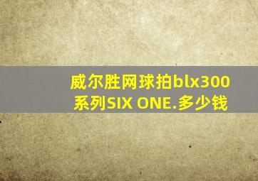 威尔胜网球拍blx300系列SIX ONE.多少钱